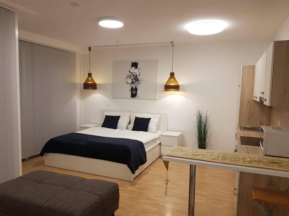 Central Lg Studio Free Parking Graz Buitenkant foto