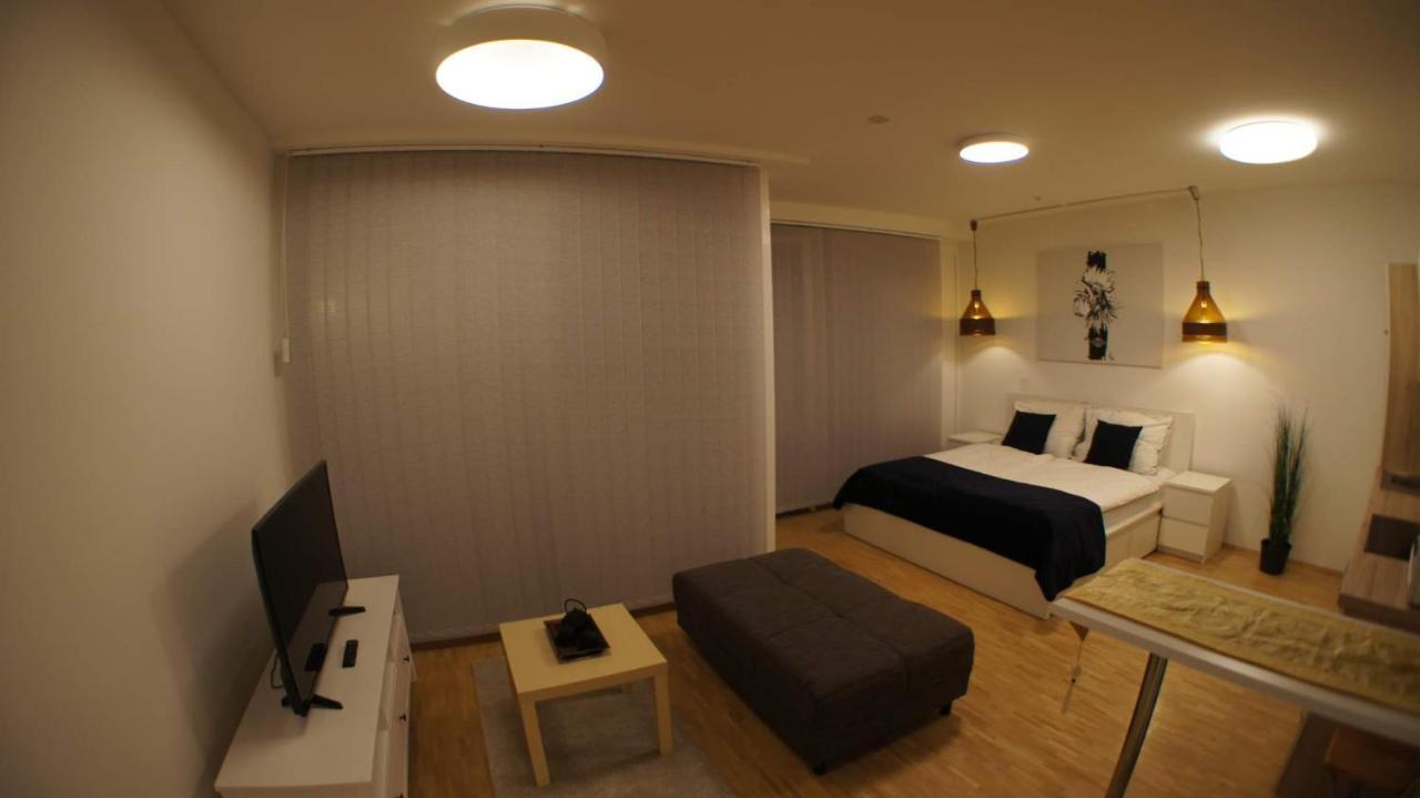 Central Lg Studio Free Parking Graz Buitenkant foto